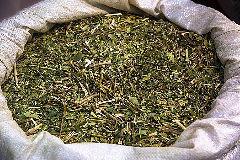 Erva Mate Composta com Menta